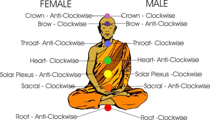 Diagram of opposite chakra rotations in a male and a female.