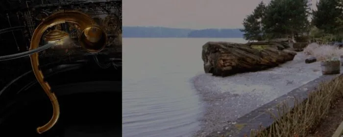 The wave pattern of the Fireman's transportation chute, and the wave of the shoreline where Laura's body disappears.