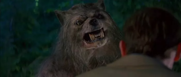 A werewolf looking scary