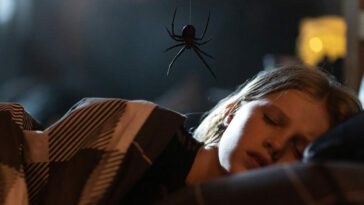 A spider descending upon a sleeping girl