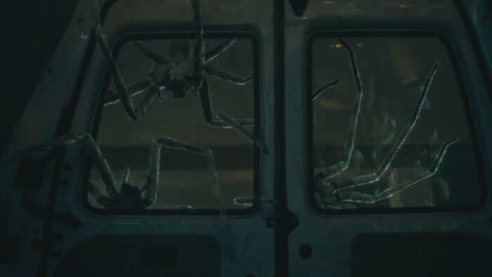 Spiders infiltrate a van door window in Infested.