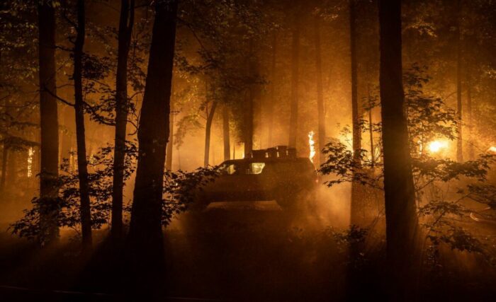 A car driving through burning woods