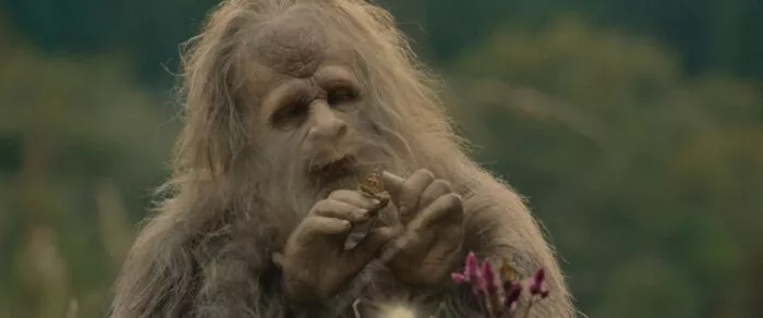 A Sasquatch playing with a butterfly