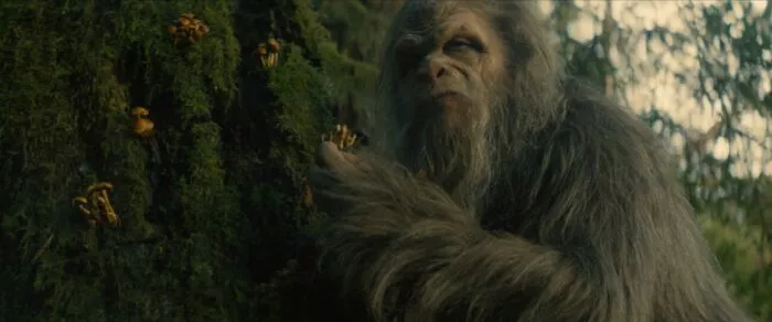 A Sasquatch looking mad