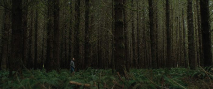 A wide shot of a woman walking through a forest of fauna and tall trees in New Life