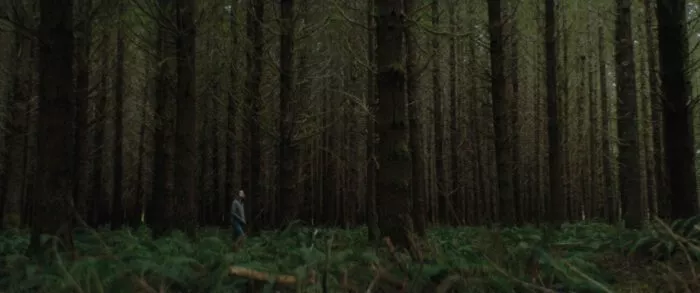 A wide shot of a woman walking through a forest of fauna and tall trees in New Life