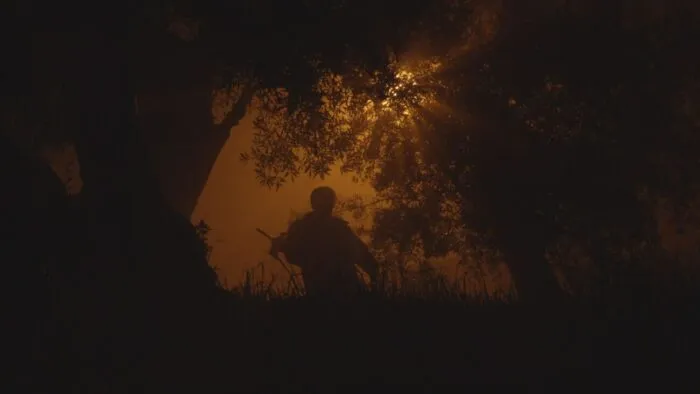 The silhouette of a man in the forest