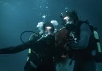 Two scuba divers in the water