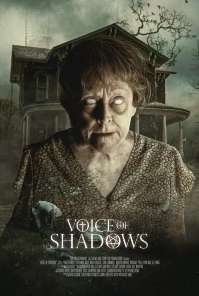 Voice of Shadows poster