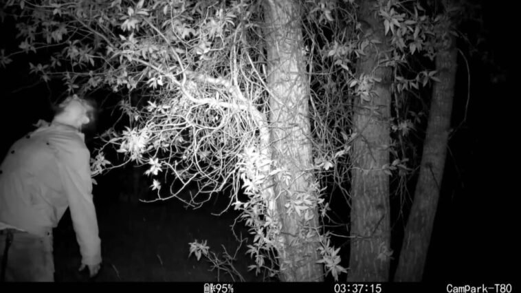 Someone gets possessed on the trail cam