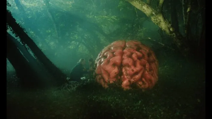 A giant brain in the middle of the woods