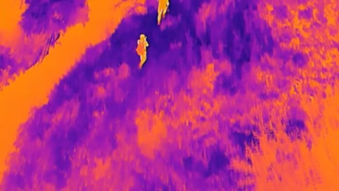 Infrared footage of poachers running from Chad's drone
