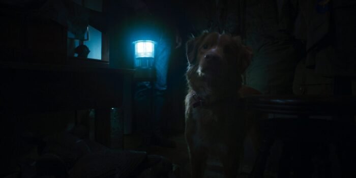 A person holds a lantern in the background as a dog looks inquisitively ahead (Fantasia presents Good Boy)