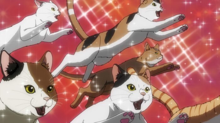 A bunch of leaping cats on a sparkling background.