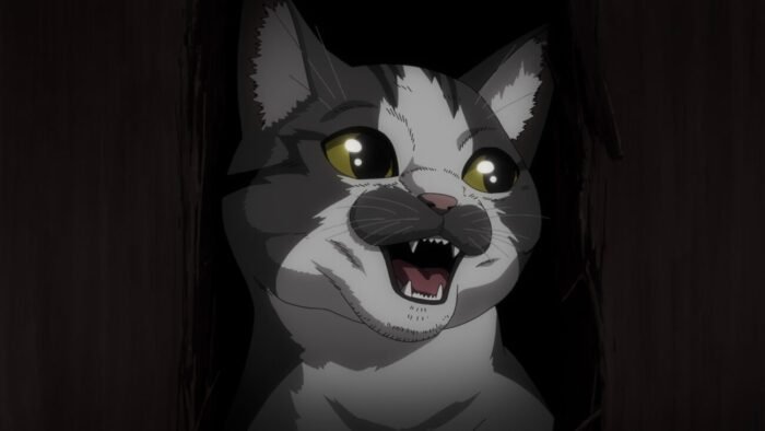 A cat pokes it's head through a hole in the door (Nyaight of the Living Cat)
