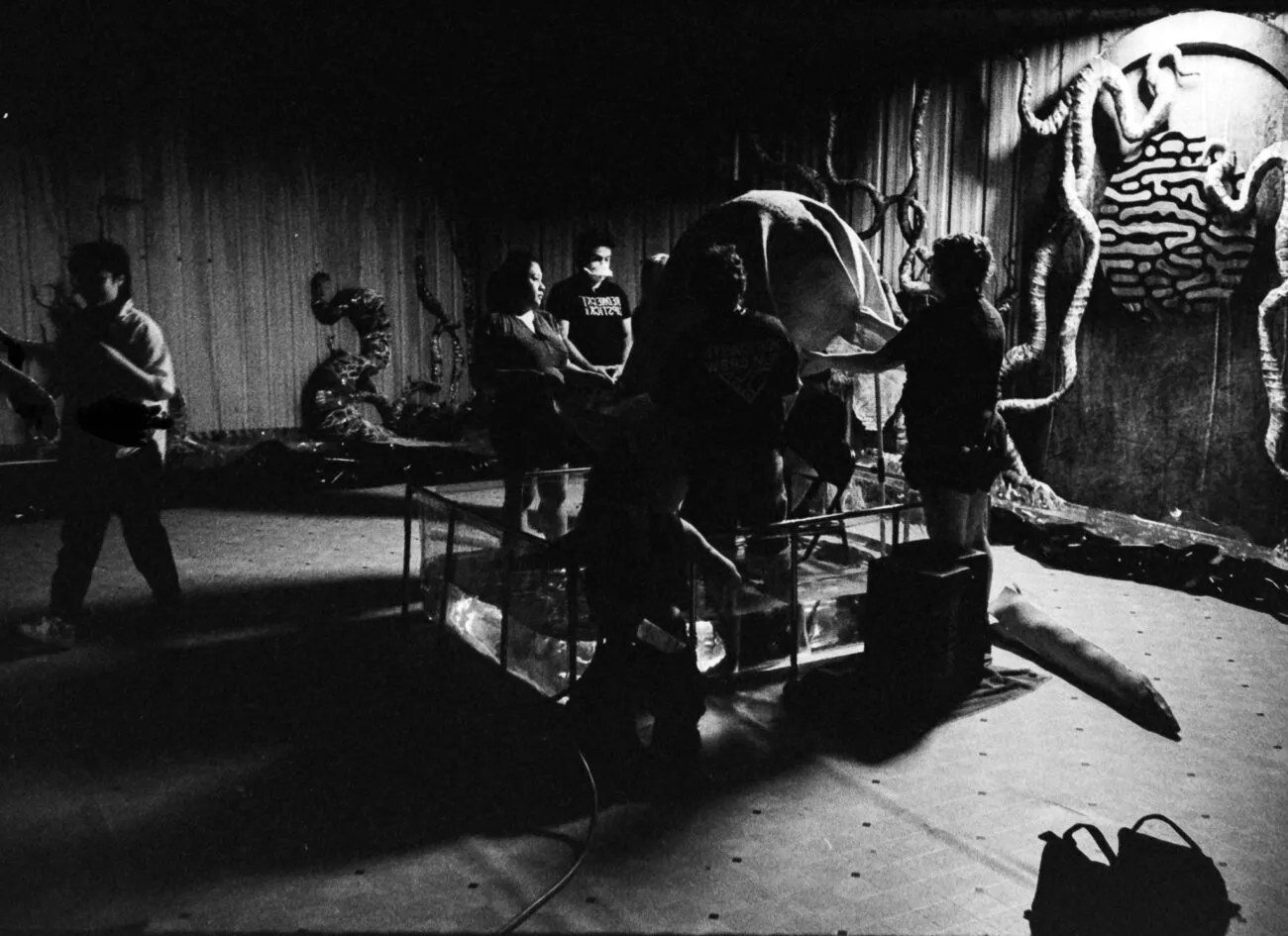 Making the monster work in Kombucha