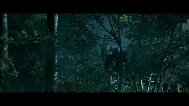 A hellhound with glowing eyes looking through the trees of the forest