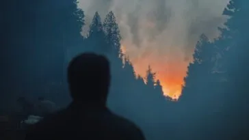 Shadow of a man facing away and looking at the woods, with a orange glow from a fire in the distance
